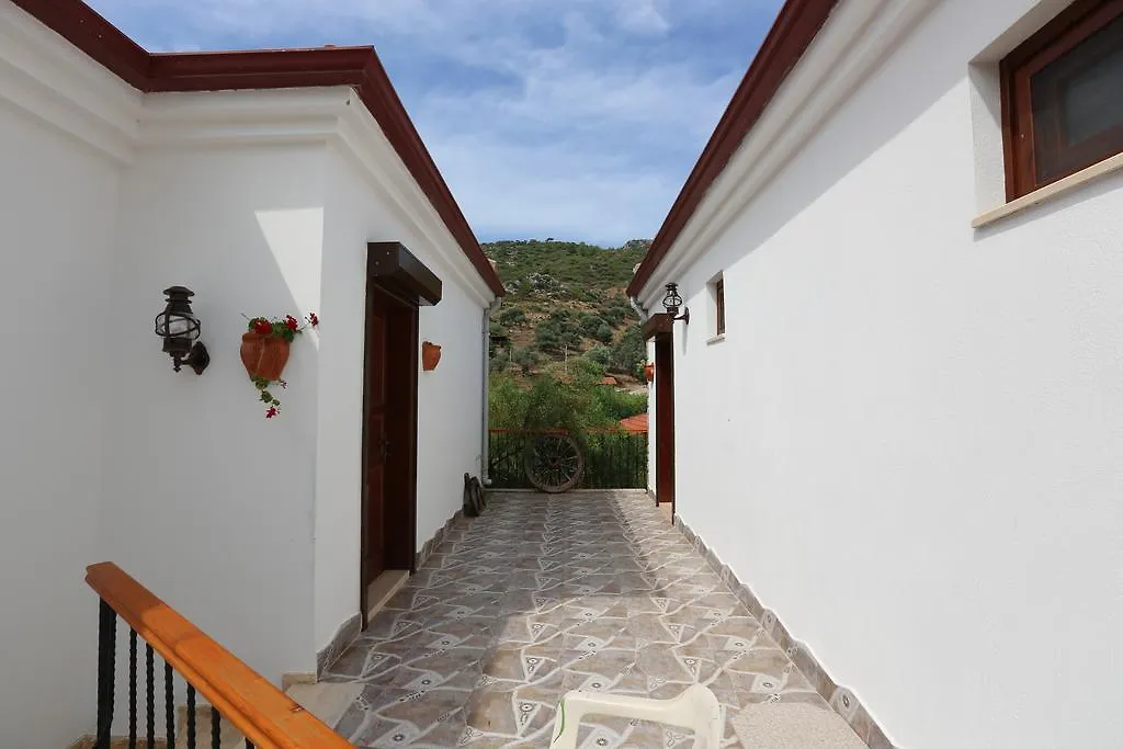 Hayitbuku Ahsapevleri Guest House Mesudiye
