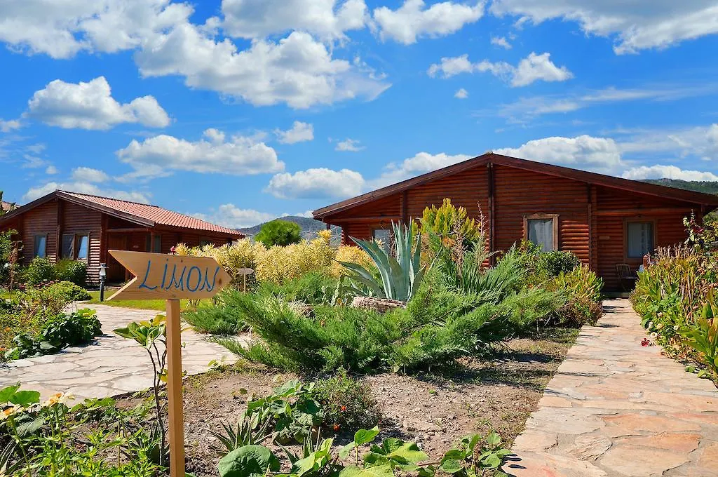 Hayitbuku Ahsapevleri Guest House Mesudiye  Turkey