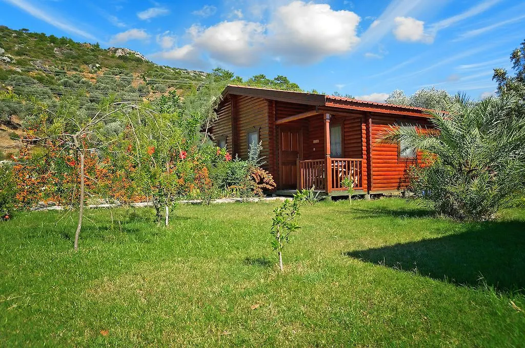 Hayitbuku Ahsapevleri Guest House Mesudiye
