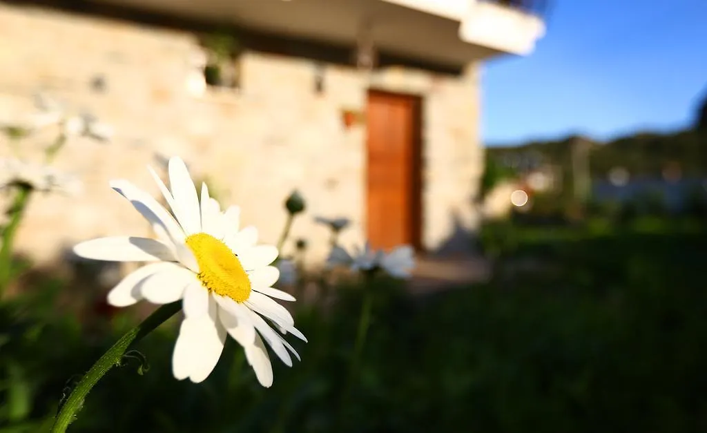Hayitbuku Ahsapevleri Guest House Mesudiye  Turkey