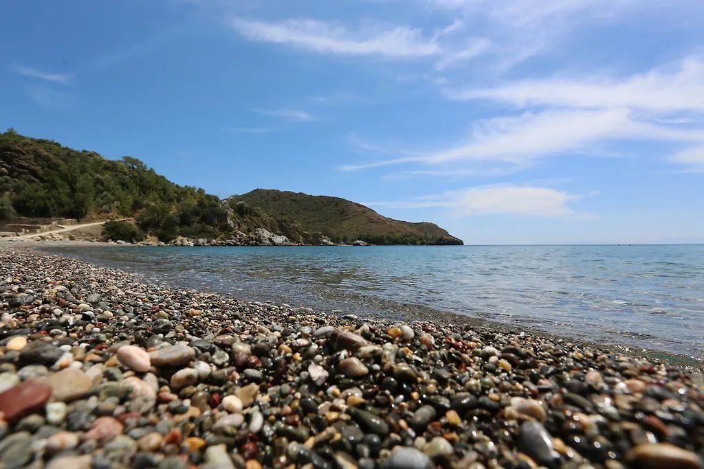 Hayitbuku Ahsapevleri Guest House Mesudiye